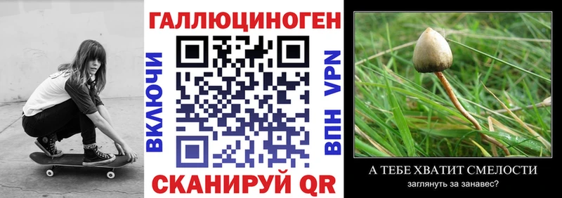 Галлюциногенные грибы Magic Shrooms  Рыльск 